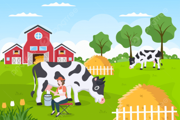 Dairy Farm Jobs in Germany for Foreigners with Sponsorship 2025 Dairy Farm Jobs in Germany
