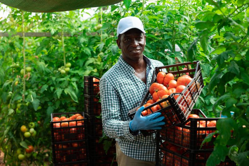 Fruit picking jobs in Canada